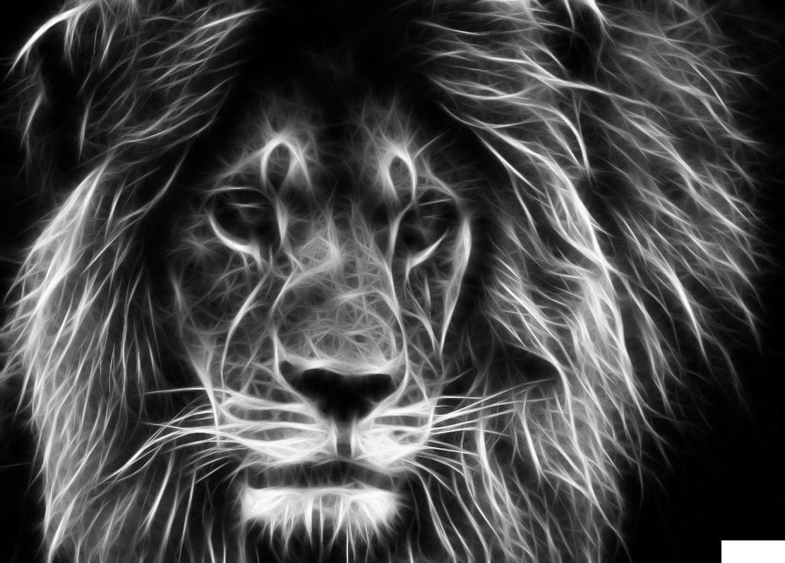 Electric Lion Radio London