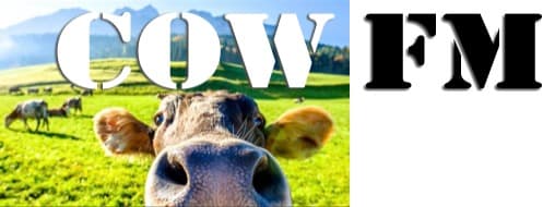 COW FM - Casino - 107.9 FM (MP3)