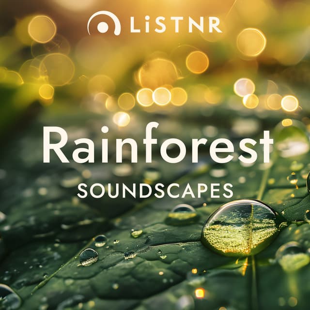 LiSTNR - Rainforest [Soundscapes]